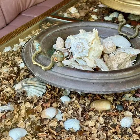 Luxury In Anasia, Amaryllis Skotina