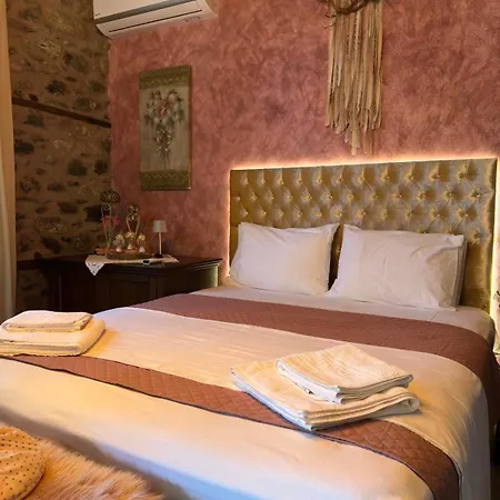 Luxury In Anasia, Amaryllis *